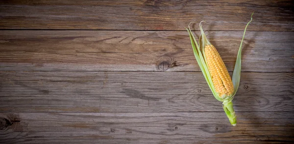 Top view corn cob — Stock Photo, Image