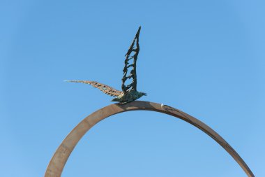 Anıt Jonathan Livingston - S. Bendetto del Tronto - bu