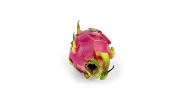 Roșu Pitaya Fructe Rotative Fundal Alb — Videoclip de stoc