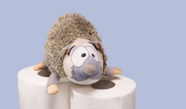 Tuvalet kağıdı peluş kirpiyle yuvarlanıyor.