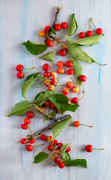 Red Cherries Food Background Art — Stock Photo, Image