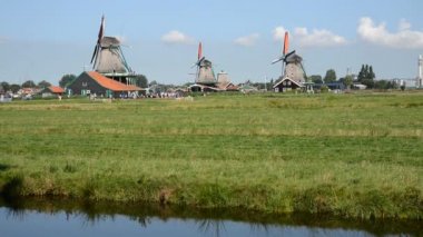 yel değirmeni zaanse Schans'a - amsterdam peyzaj