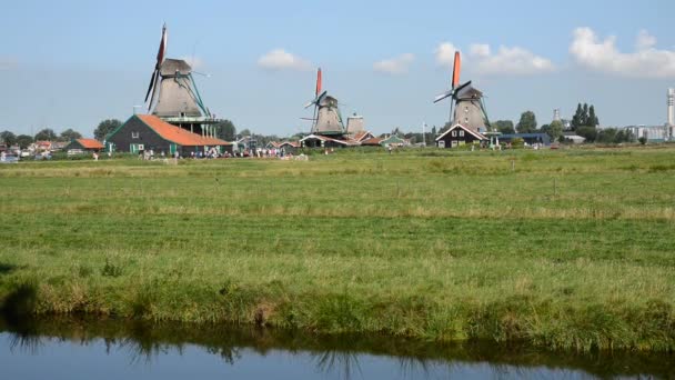 Τοπίο των ανεμόμυλων zaanse schans - Άμστερνταμ — Αρχείο Βίντεο