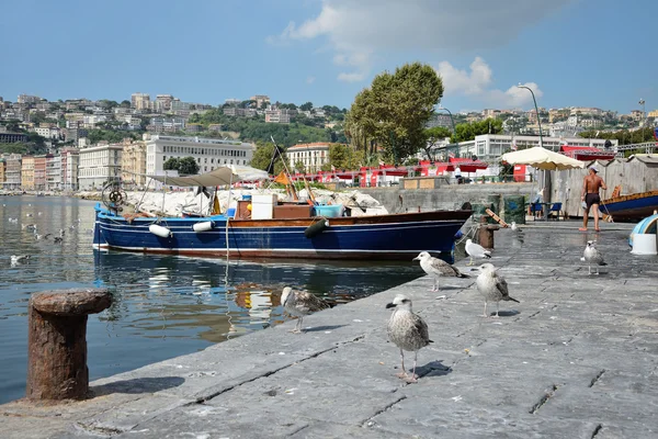 Napoli fisherrmen — Stok fotoğraf