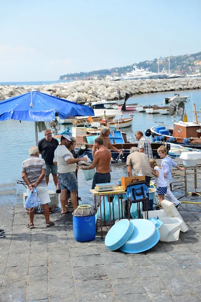 Naples fisherrmen — Stock Photo, Image
