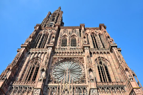 Katedralen i strasbourg — Stockfoto