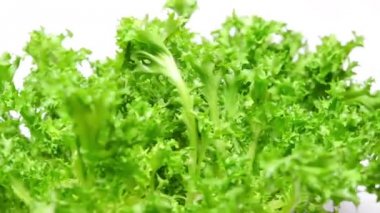 Beyaz arka plan üzerinde kıvırcık salata