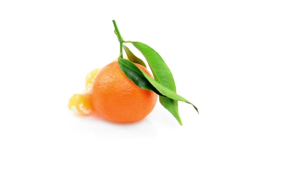 Clementine che ruotano su fondo bianco — Video Stock