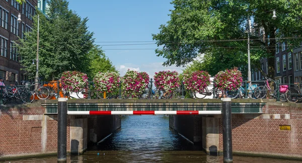 Brücken in Amsterdam — Stockfoto