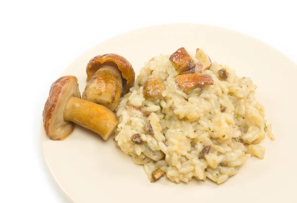 Risotto mit Steinpilzen — Stockfoto