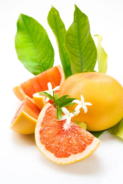 Orange and grapefruit — Stock Photo, Image