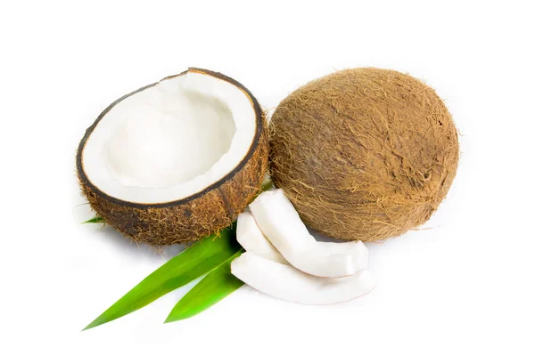 코코넛 열 — 스톡 사진