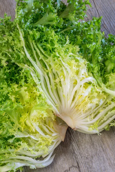 Insalata riccia rotante su sfondo bianco — Foto Stock