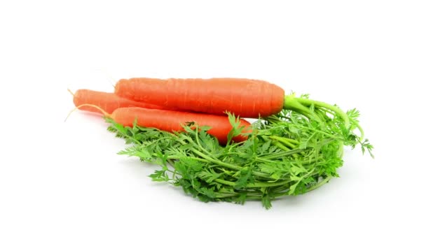 Carrots  on white background — Stock Video