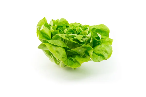 Sallad på vit bakgrund — Stockfoto