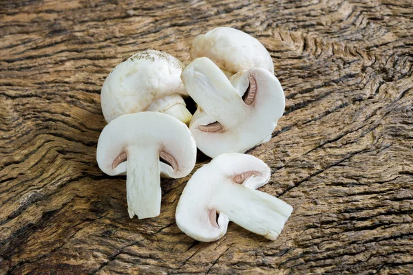 Ciuperci Champignons — Fotografie, imagine de stoc