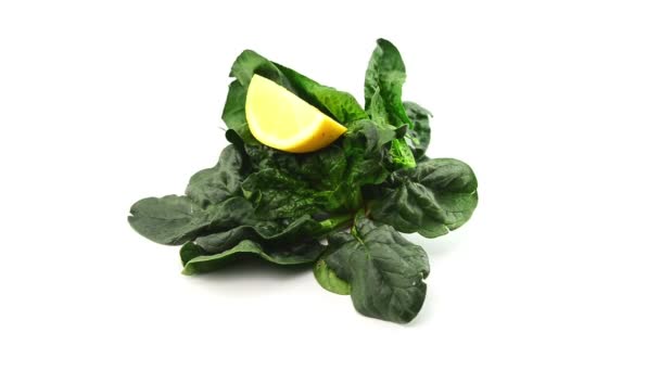 Spinach  on white background — Stock Video