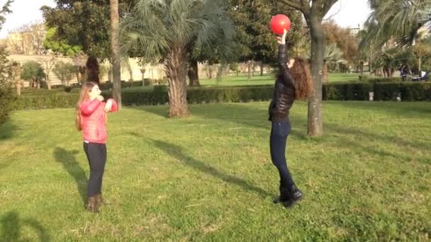 Girls playing volleyball — Stock Video