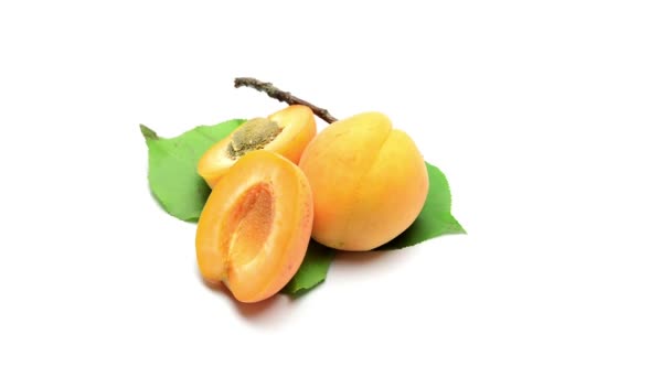 Peach on white background — Stock Video