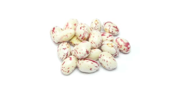 Borlotti beans  on white background — Stock Video