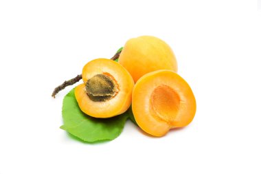 Beyaz arkaplanda kayısılar