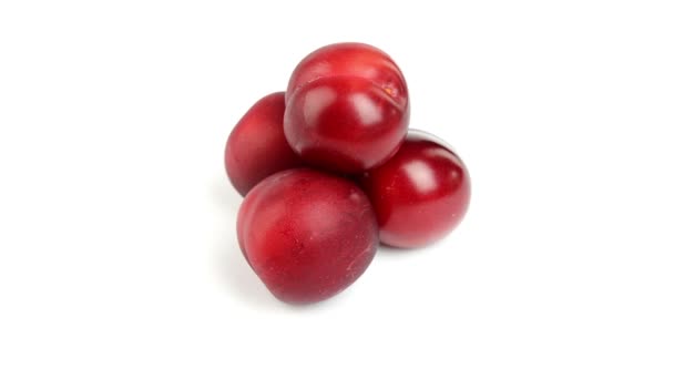 Prunes rouges sur fond blanc — Video