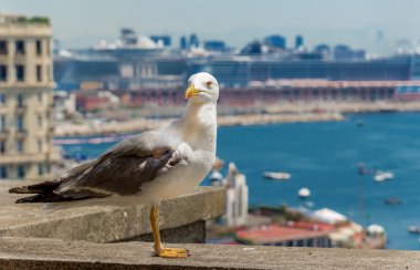 Napoli, İtalya, Borgo marinari