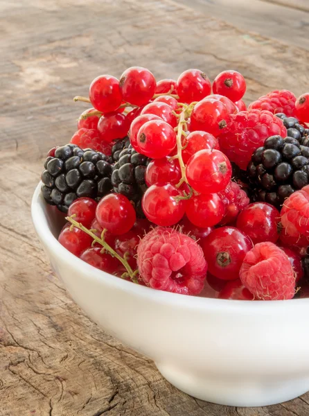 Wild berries — Stock Photo, Image