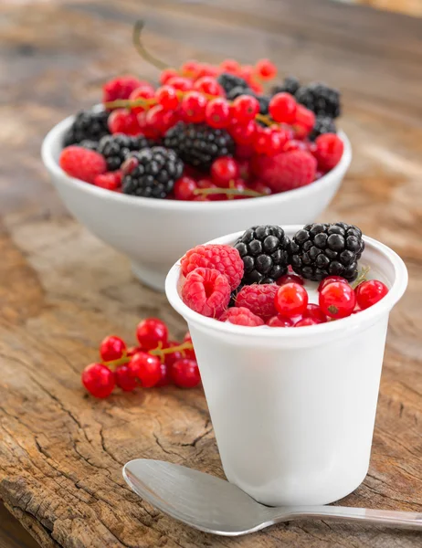 Yougurt with wild berries — Stock Photo, Image