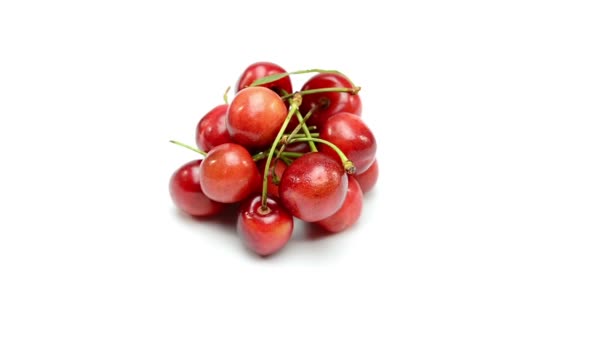 Cherries on white background — Stock Video
