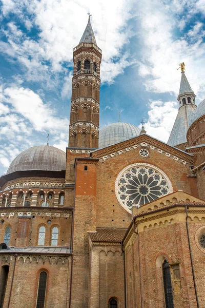 Basilikan St. Anthony i Padua - Italien — Stockfoto