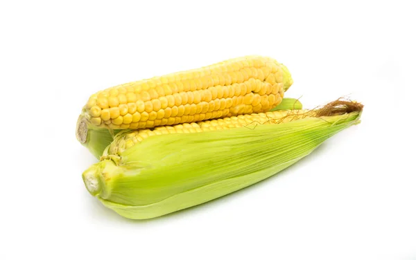 Corn fresh — Stock Photo, Image