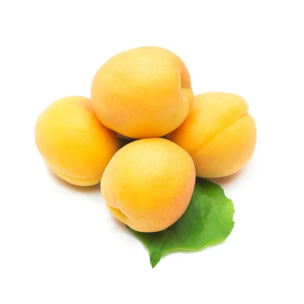 Apricots  on white background — Stock Photo, Image