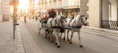 Viyana - Avusturya at arabası