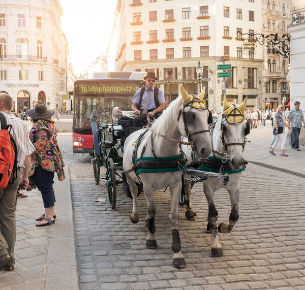 Horse carriage in Vienna - Austria