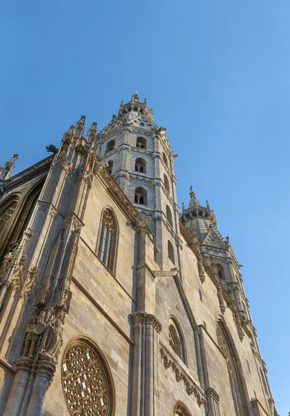圣 Stephan 大教堂-维也纳 — 图库照片