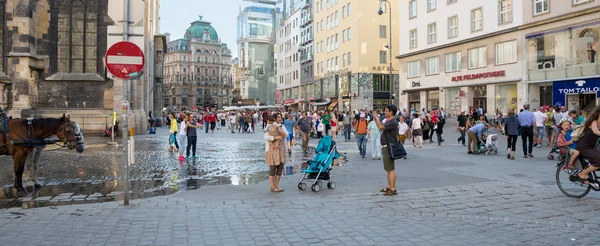 Lidí, kteří jdou ve Vídni — Stock fotografie