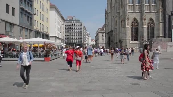 Emberek séta Bécsben — Stock videók
