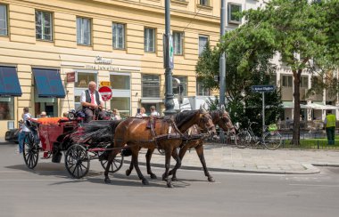 Viyana - Avusturya at arabası