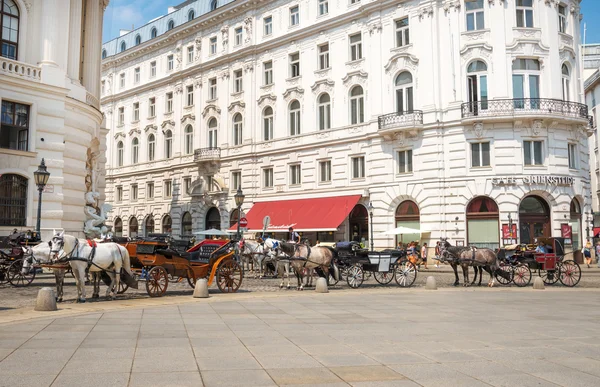 비엔나-오스트리아에서에서 말 마차 — 스톡 사진