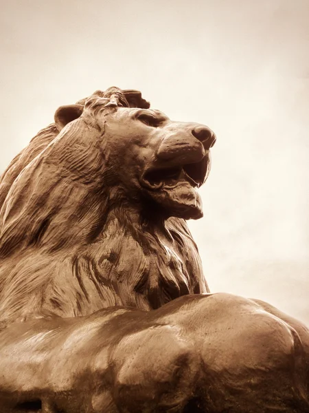 Lion in Trafalgar Square - Londra - Marea Britanie — Fotografie, imagine de stoc