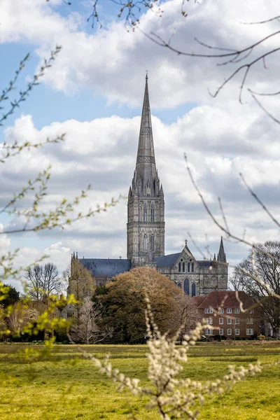 Salisbury Katedrali Nin Salisbury Wiltshire Ngiltere Deki Çayırındaki Manzarası Nisan — Stok fotoğraf