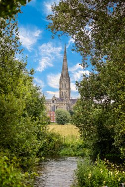 Salisbury Katedrali 'nin Salisbury, Wiltshire, İngiltere' de 11 Temmuz 2021 tarihinde ön planda Avon Nehri ile çerçevelenmiş görüntüsü