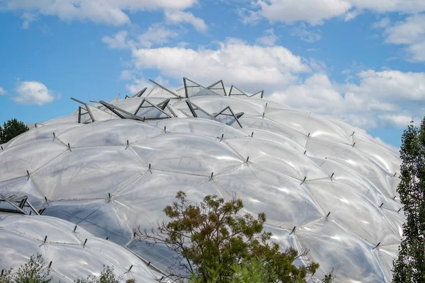 Close One Bubble Biomes Eden Project Cornwall July 2021 — Stock Photo, Image