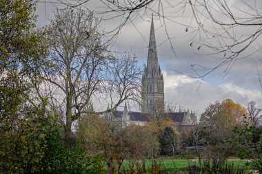8 Kasım 2025 'te İngiltere' nin Wiltshire şehrinde sonbahar yeşilliklerinde ağaçlarla çevrili olan su çayırlarından Salisbury Katedrali 'nin çerçeveli görüntüsü.