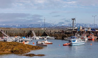 15 Temmuz 2024 'te Grönland' da Maniitsoq limanında karlı dağlarla demirlemiş tekneler.