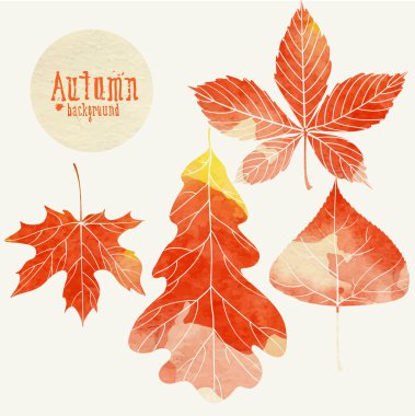 Yapraklı sonbahar arkaplanı