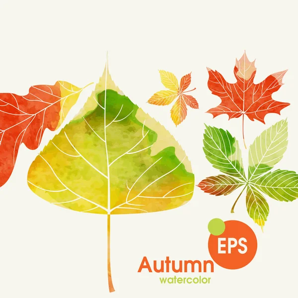 Autumn Background With Leaves — Stock Vector