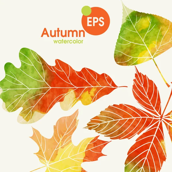 Autumn Background With Leaves — Stock Vector