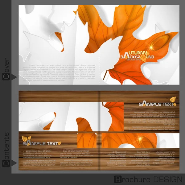 Brochure Template Design — Stock Vector